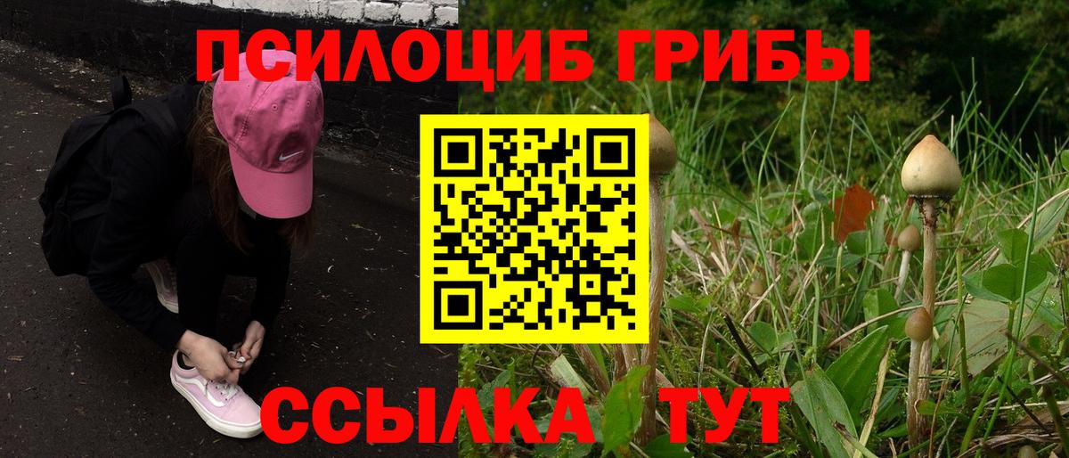 Галлюциногенные грибы Psilocybe  Вход с VPN  Муравленко 